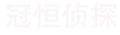 冠恒侦探